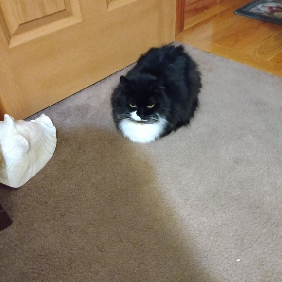 We like reasonable offers😻 - Picture 3 of 4